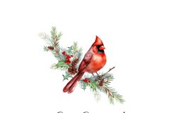 red cardinal christmas wreaths png clipart