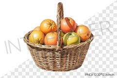 Fresh Red Grapefruits in Wicker Basket PNG Clip art Fruit Product Image 1