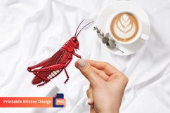 Red Grasshopper Sticker, Red Grasshopper Decal for Laptops Product Image 1