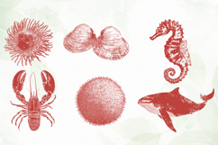 Red Ocean Animals Sublimation Product Image 4