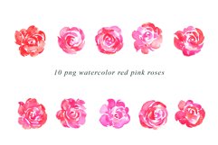 10 Red and Pink watercolor rose clipart bundle. PNG transparent illustrations at 300dpi