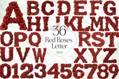 Red Roses Letter Sublimation Clipart Product Image 1