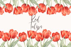 Watercolor Red Tulips clipart - Tulip seamless border Product Image 1