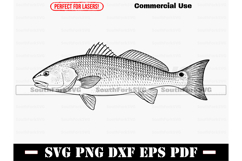 Redfish Red Drum SVG PNG DXF EPS PDF Product Image 1