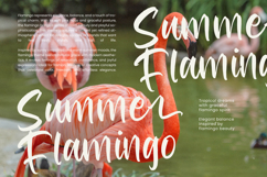 Redfish Grouper - Bold Modern Handwritten Product Image 10