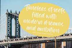 Redfish Grouper - Bold Modern Handwritten Product Image 17