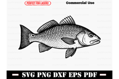 Redfish Red Drum Design SVG PNG DXF EPS PDF Product Image 1