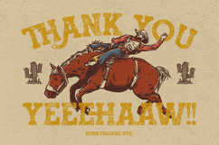 Redtown - Western Typeface Product Image 11