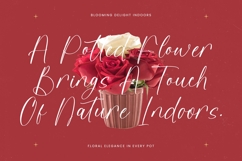 Redtype Magnita - Modern Freestyle Handwritten Product Image 7