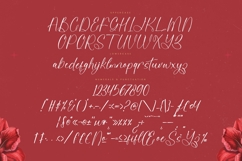 Redtype Magnita - Modern Freestyle Handwritten Product Image 18