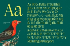 Refika Mughy Thin Serif Displa Product Image 14
