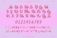 REFINSTED - Elegant Script Calligraphy Font Product Image 10