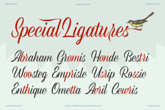 REFINSTED - Elegant Script Calligraphy Font Product Image 11