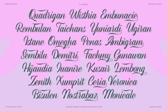 REFINSTED - Elegant Script Calligraphy Font Product Image 13
