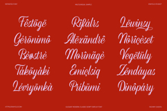 REFINSTED - Elegant Script Calligraphy Font Product Image 14