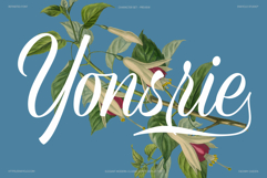 REFINSTED - Elegant Script Calligraphy Font Product Image 6