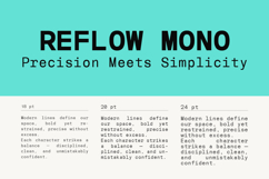 Reflow Mono Editorial Fixed-Width Typeface Product Image 4