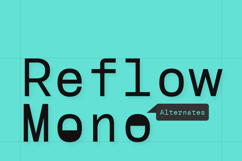 Reflow Mono Editorial Fixed-Width Typeface Product Image 8