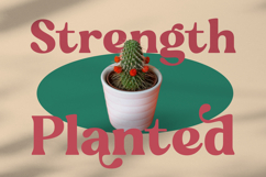 Regina Bonita - Modern Retro Serif Font Product Image 2