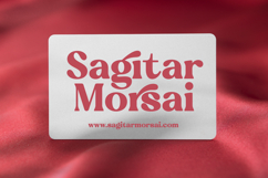 Regina Bonita - Modern Retro Serif Font Product Image 3