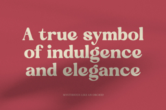 Regina Bonita - Modern Retro Serif Font Product Image 9