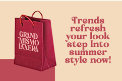 Regina Bonita - Modern Retro Serif Font Product Image 10