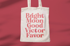 Regina Bonita - Modern Retro Serif Font Product Image 11