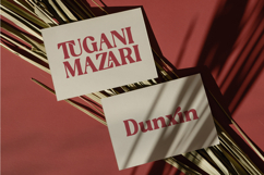 Regina Bonita - Modern Retro Serif Font Product Image 12