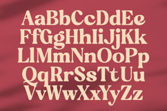 Regina Bonita - Modern Retro Serif Font Product Image 15