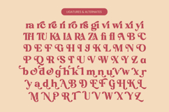 Regina Bonita - Modern Retro Serif Font Product Image 18
