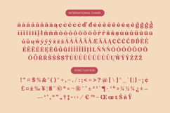 Regina Bonita - Modern Retro Serif Font Product Image 19