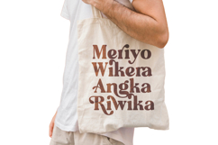 Regina Morise - Classy Retro Serif Font Product Image 6