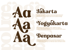 Regina Morise - Classy Retro Serif Font Product Image 8