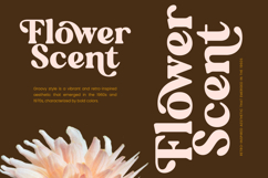 Regina Morise - Classy Retro Serif Font Product Image 13