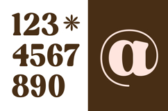 Regina Morise - Classy Retro Serif Font Product Image 14