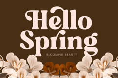 Regina Morise - Classy Retro Serif Font Product Image 15