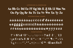 Regina Morise - Classy Retro Serif Font Product Image 19