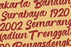 Reginetta - Bold Script Font Product Image 5