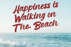 Reginetta - Bold Script Font Product Image 7