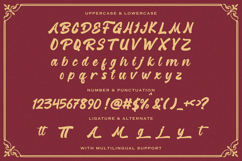 Reginetta - Bold Script Font Product Image 8