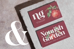 Regita Glamor - Bold Serif Display Font Product Image 5