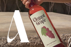 Regita Glamor - Bold Serif Display Font Product Image 17