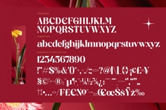 Regita Glamor - Bold Serif Display Font Product Image 18