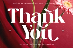 Regita Glamor - Bold Serif Display Font Product Image 20