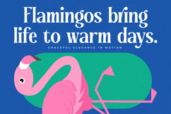 Regolvis - Modern Alternates Serif Product Image 6