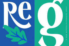 Regolvis - Modern Alternates Serif Product Image 8