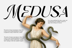 REHAN Elegant Modern duo Sans Script Font Product Image 2