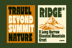 Reiger - Bold Condensed Font Product Image 2