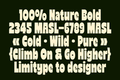 Reiger - Bold Condensed Font Product Image 4