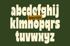 Reiger - Bold Condensed Font Product Image 7